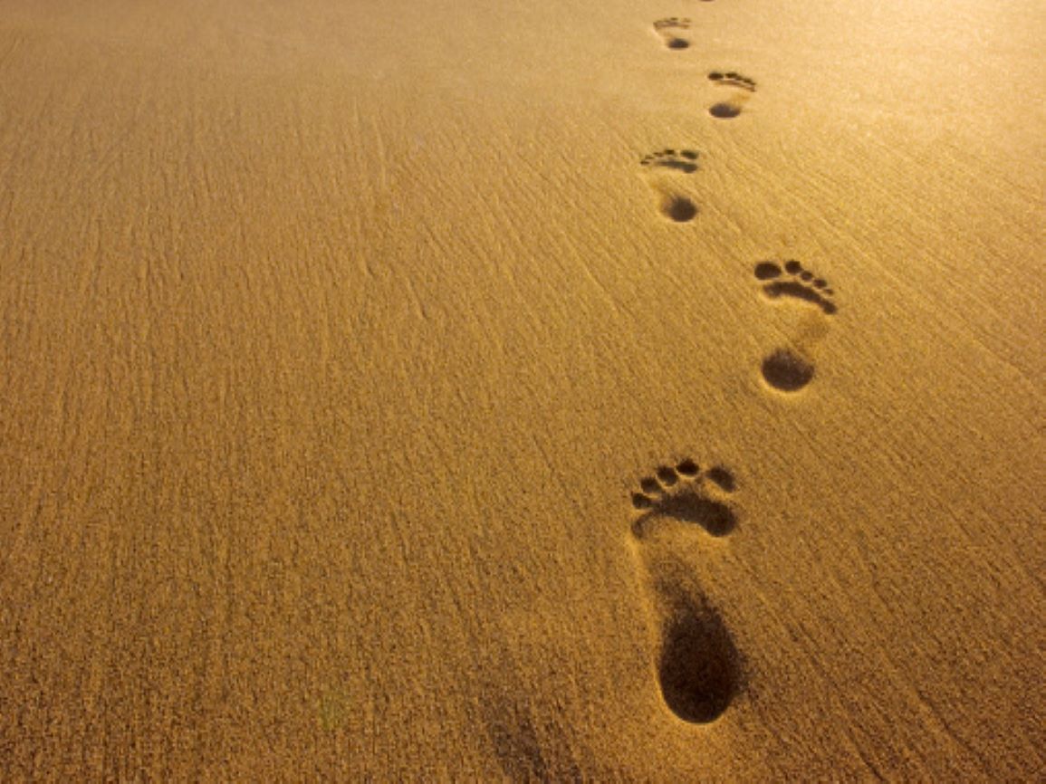Footprints